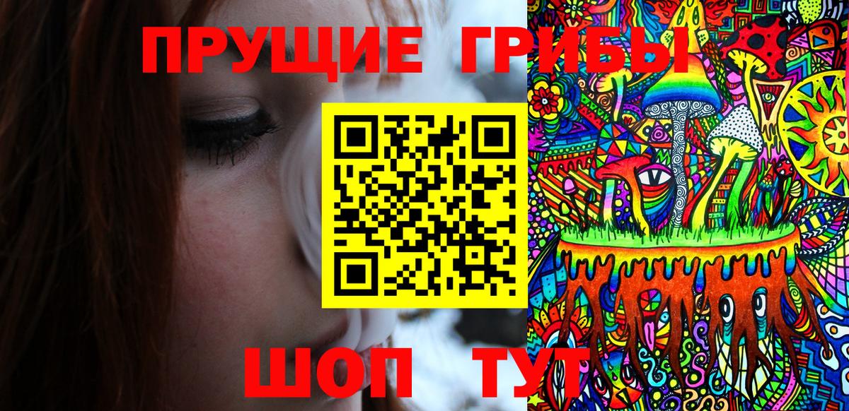 Шебекино  Галлюциногенные грибы прущие грибы  Вход с VPN 